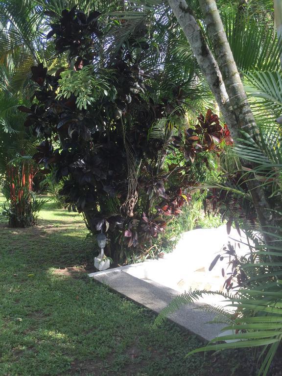 Magellan Boutique Hotel Cahuita Kültér fotó