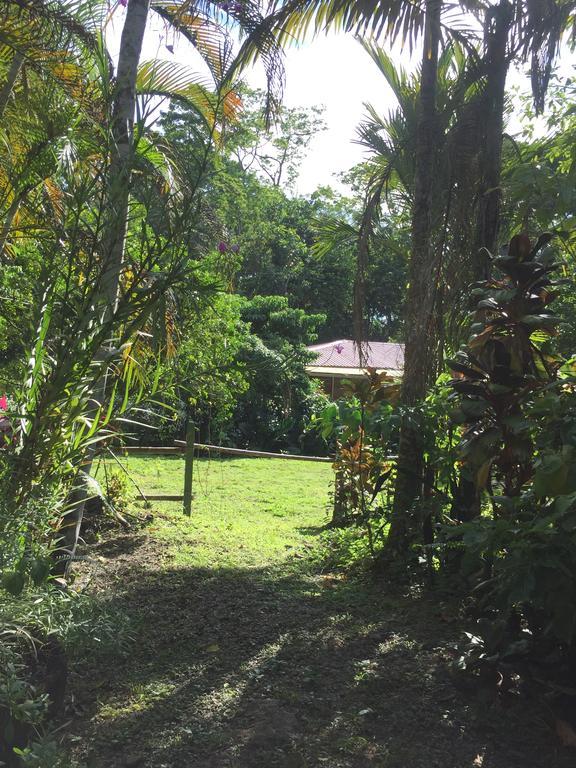 Magellan Boutique Hotel Cahuita Kültér fotó