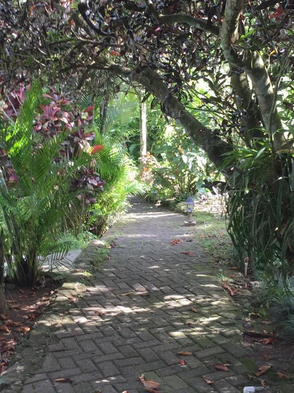 Magellan Boutique Hotel Cahuita Kültér fotó